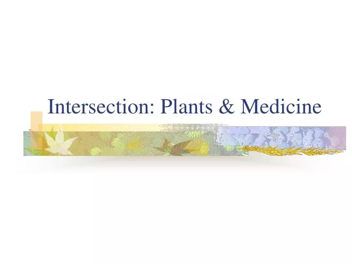 intersection plants medicine