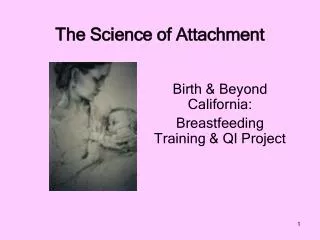 The Science of Attachment
