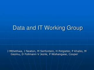 Data and IT Working Group