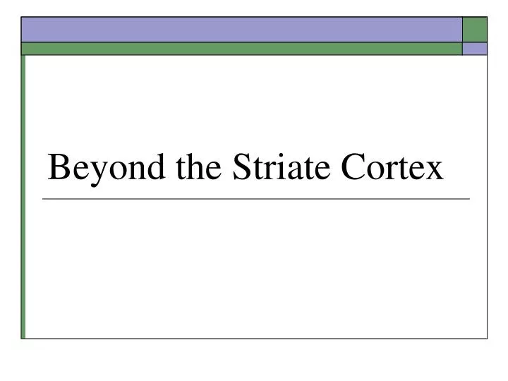 beyond the striate cortex