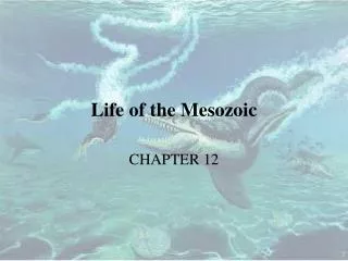 Life of the Mesozoic