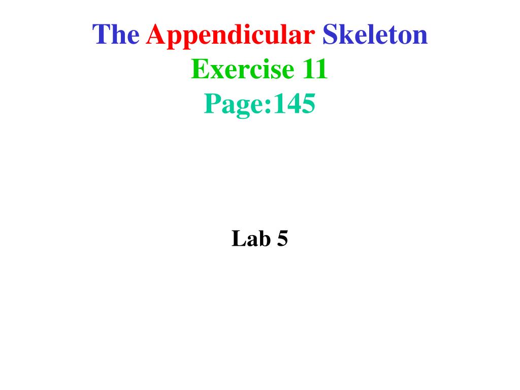 PPT - The Appendicular Skeleton Exercise 11 Page:145 PowerPoint ...