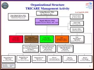Organizational Structure TRICARE Management Activity