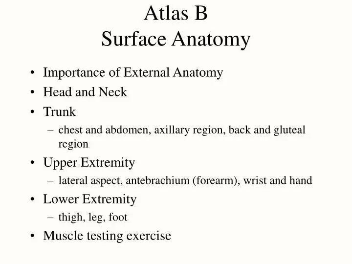 atlas b surface anatomy