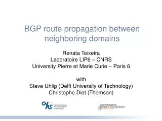 BGP route propagation between neighboring domains
