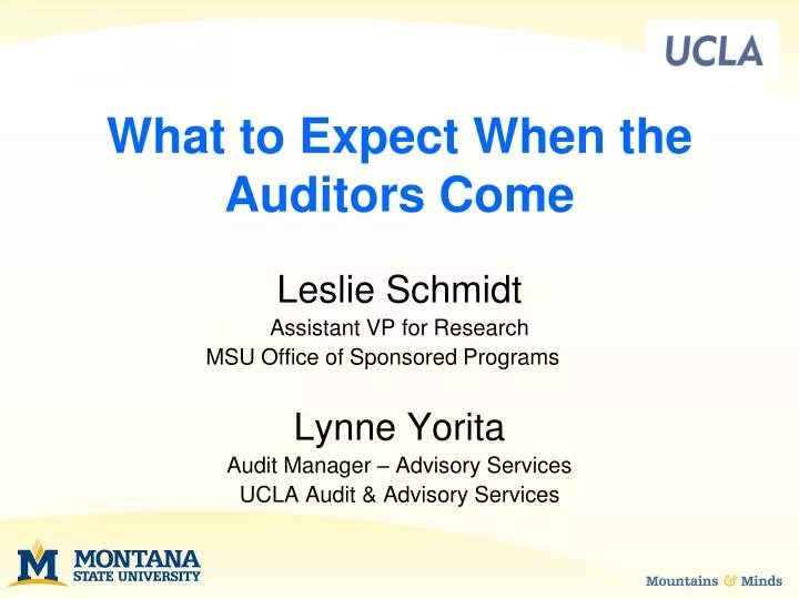 what to expect when the auditors come