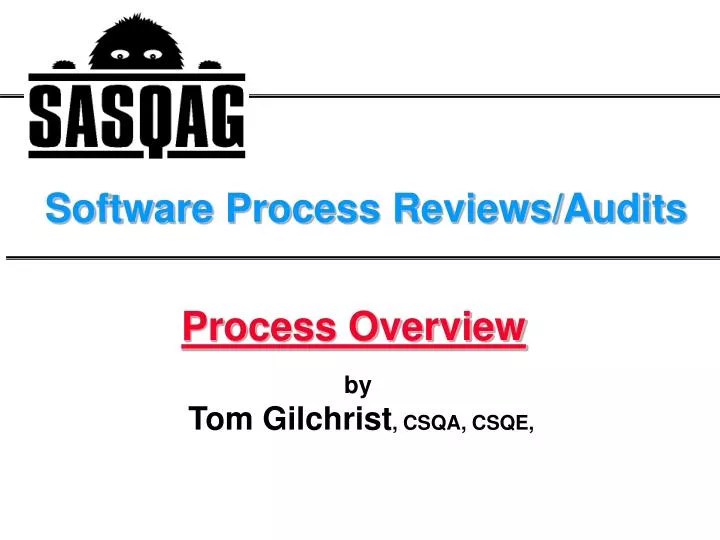 software process reviews audits