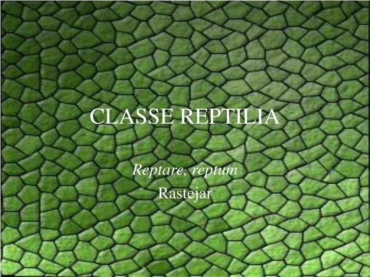classe reptilia