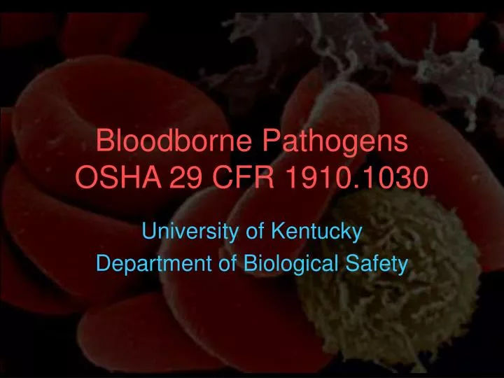 bloodborne pathogens osha 29 cfr 1910 1030