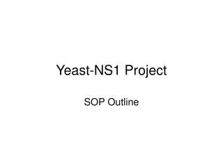 Yeast-NS1 Project