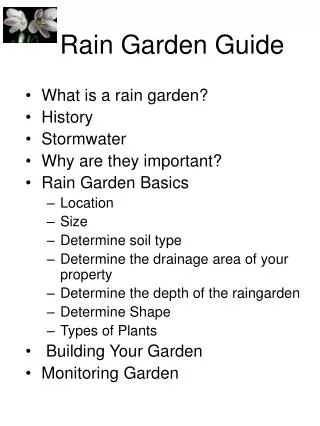 Rain Garden Guide