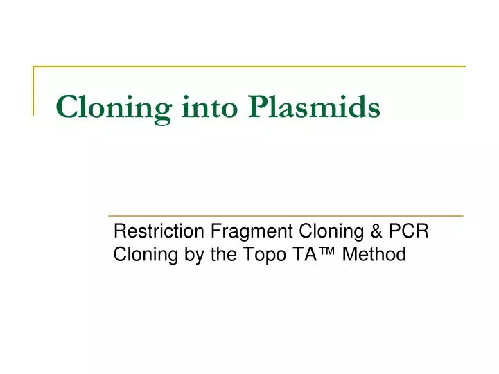 cloning into plasmids