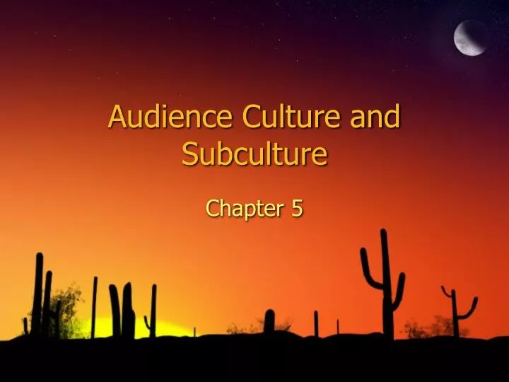audience culture and subculture