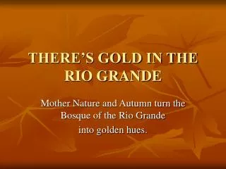 THERE’S GOLD IN THE RIO GRANDE