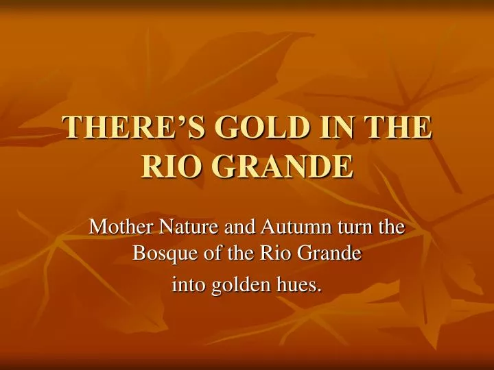 there s gold in the rio grande