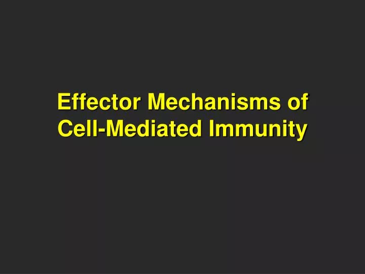 effector mechanisms of cell mediated immunity