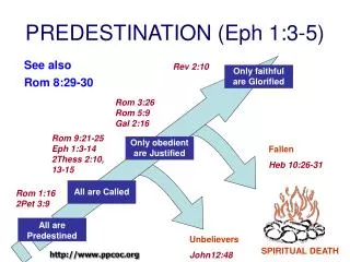 PREDESTINATION (Eph 1:3-5)
