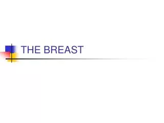 THE BREAST