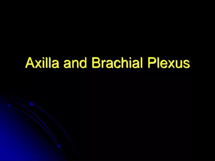 axilla and brachial plexus