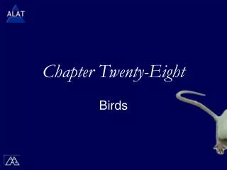 Chapter Twenty-Eight