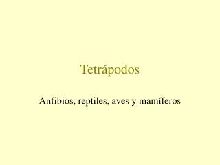 Tetrápodos