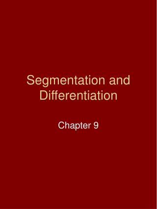 Segmentation and Differentiation