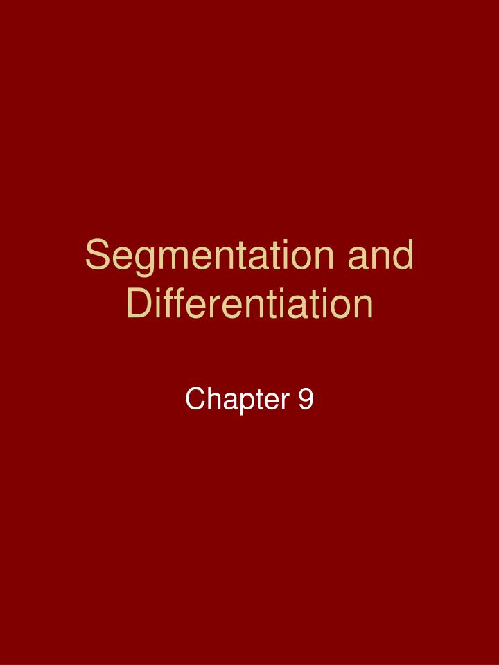 segmentation and differentiation