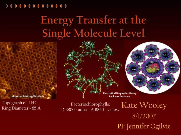 energy transfer at the single molecule level