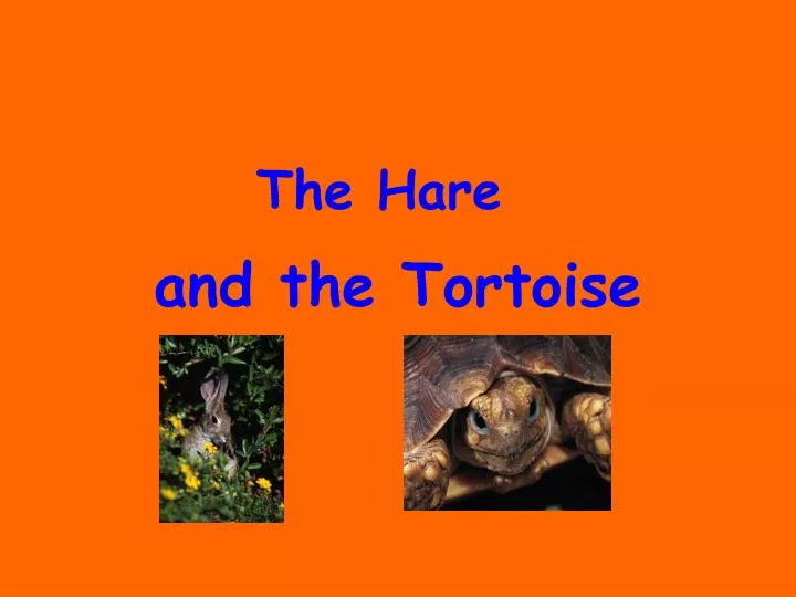 and the tortoise