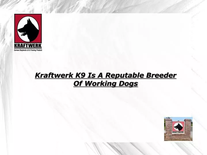 kraftwerk k9 is a reputable breeder of working dogs