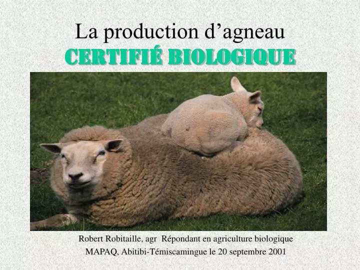 la production d agneau certifi biologique