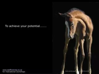 To achieve your potential………