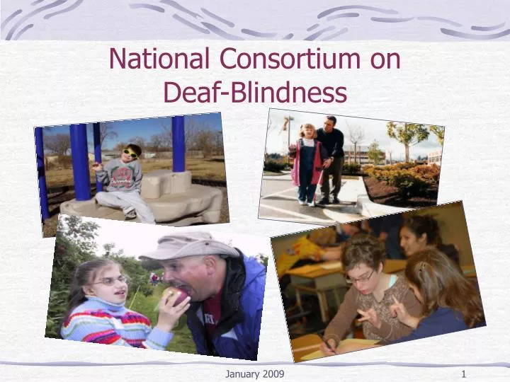 national consortium on deaf blindness