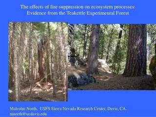 The effects of fire suppression on ecosystem processes: Evidence from the Teakettle Experimental Forest