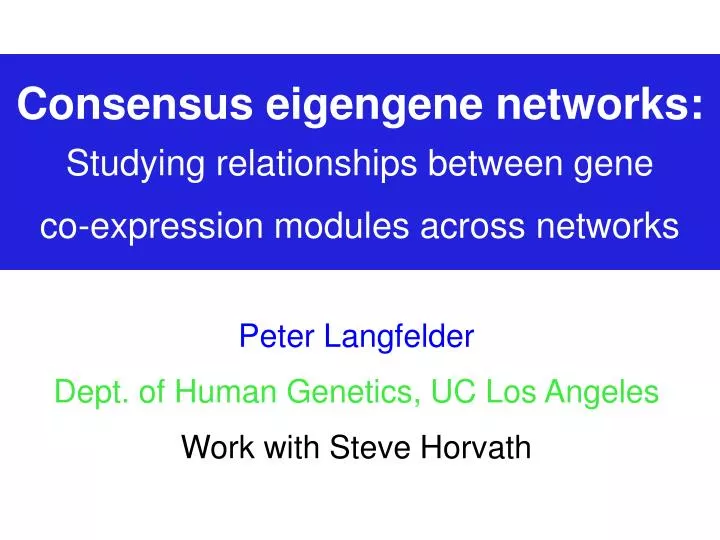 peter langfelder dept of human genetics uc los angeles work with steve horvath