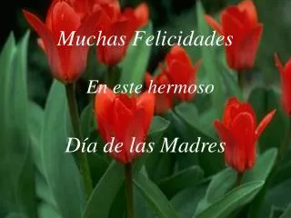 muchas felicidades