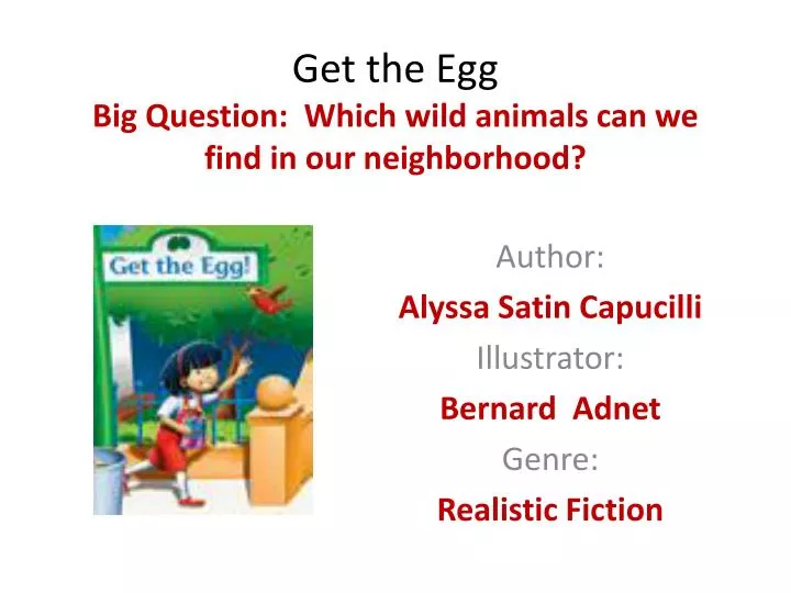 get the egg big question which wild animals can we find in our neighborhood