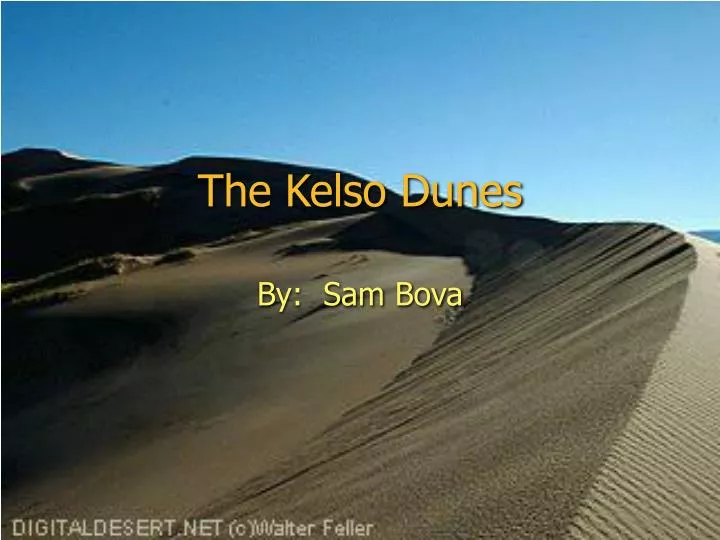 the kelso dunes