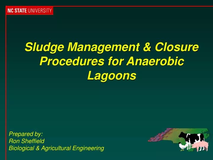 sludge management closure procedures for anaerobic lagoons