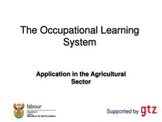 The Occupational Learning System