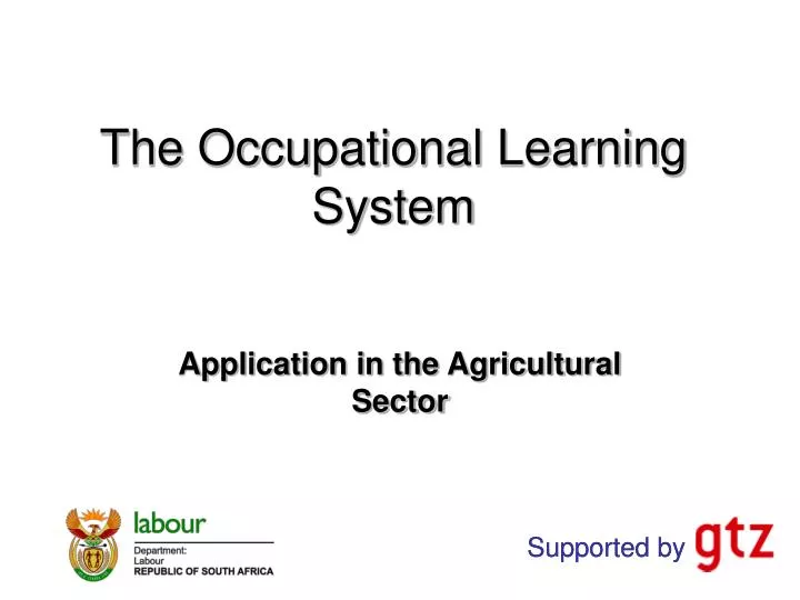 the occupational learning system