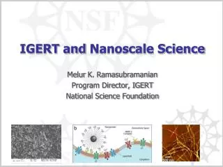 IGERT and Nanoscale Science
