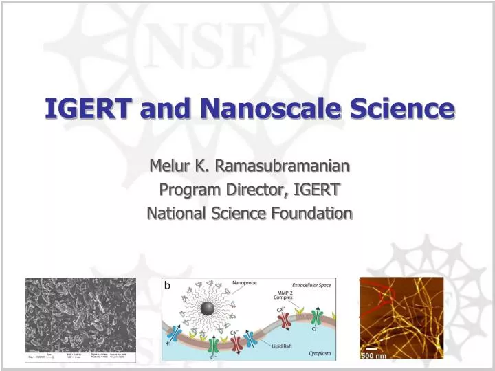 igert and nanoscale science