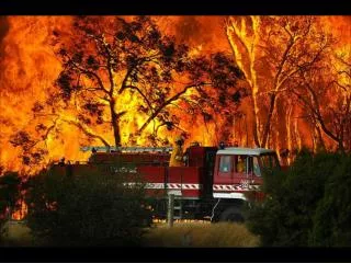 wildfire devastates australia