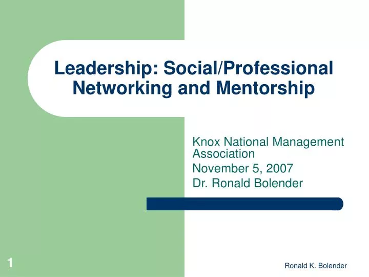 leadership social professional networking and mentorship