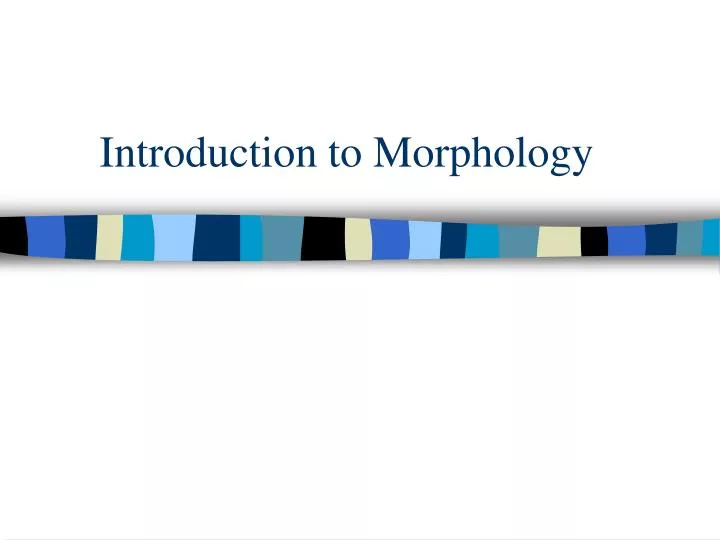 introduction to morphology