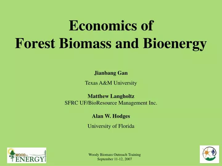 economics of forest biomass and bioenergy
