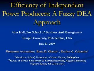 Efficiency of Independent Power Producers: A Fuzzy DEA Approach