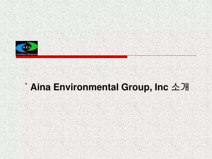 aina environmental group inc