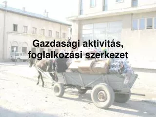 gazdas gi aktivit s foglalkoz si szerkezet